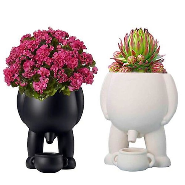 Piss Pot Planter, Gröna Krukor, Sukkulenter Krukor, Dränering, Inomhusväxter black
