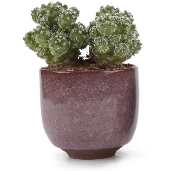 T4U 6,5CM Keramiske Sukkulente Potter Sprekkende Serie Sukkulente Plante Kaktus Blomsterpotte Dyrking Planter 1 Pakke med 12 Gave til Bursdag Bryllup