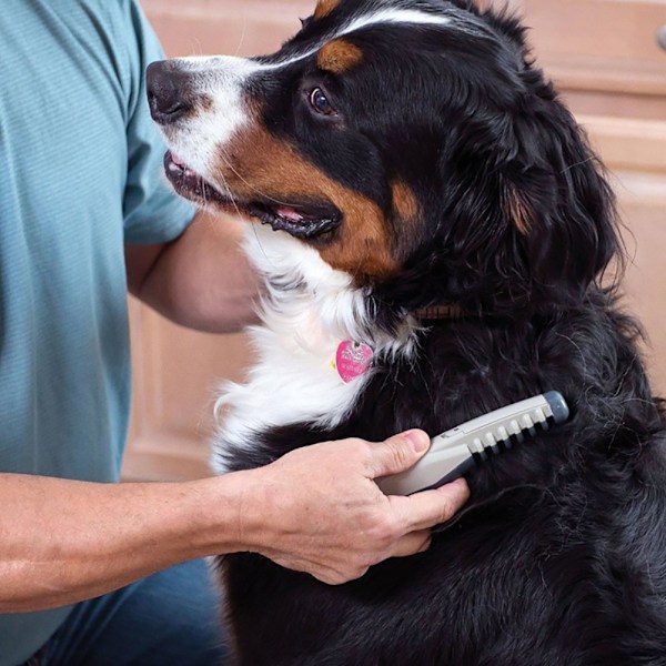 Elektrisk Pelsfjerning Kam Hundefrisørkam Kattehårtrimmer