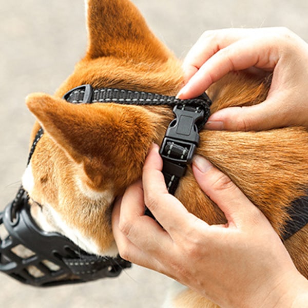 Korgmuzzle för hundar, gummikorg hundmuzzle, andningsbar allround-täckning och justerbara remmar, förhindrar skällande, bett och tuggande