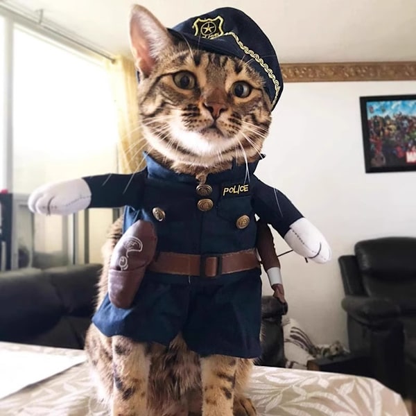 Hunde- og kattedyr Halloween Jul Cosplay Rekvisitter Klesopp, Festantrekk Kostyme Begge Føtter Wacky Karriere Klær