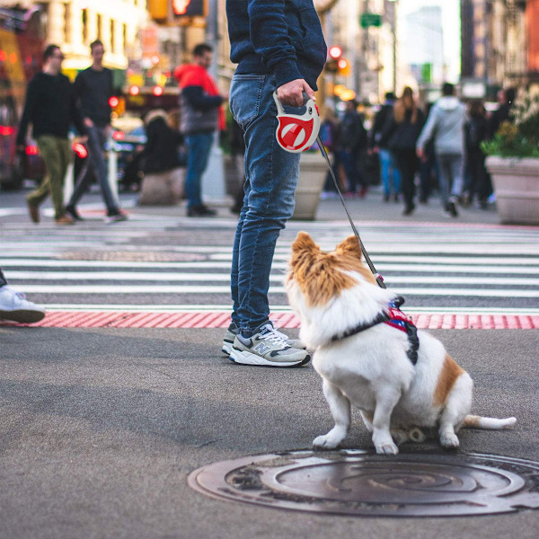 Hundkoppel Retraktil, Trasselfri Nylon Koppel för Hundar Husdjur Promenader & Träning (Röd)