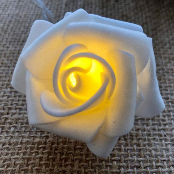 String Lights Batteridrevet innendørs med LED-lys - White Rose