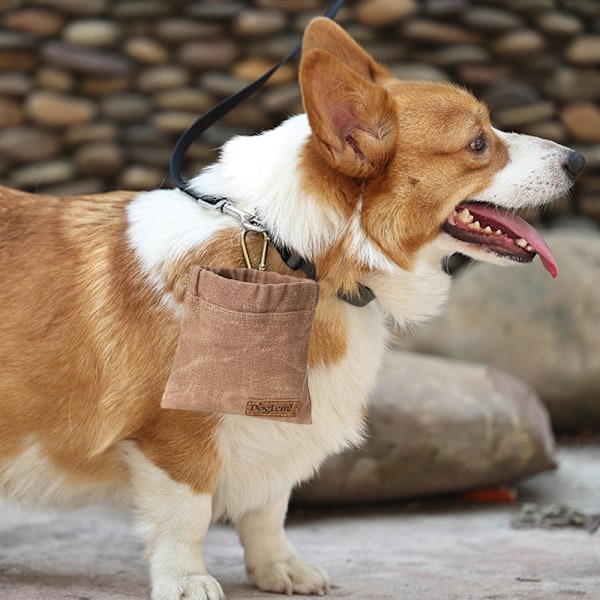 Gå tur med hunden, udstyr taljen, fodr snackposen