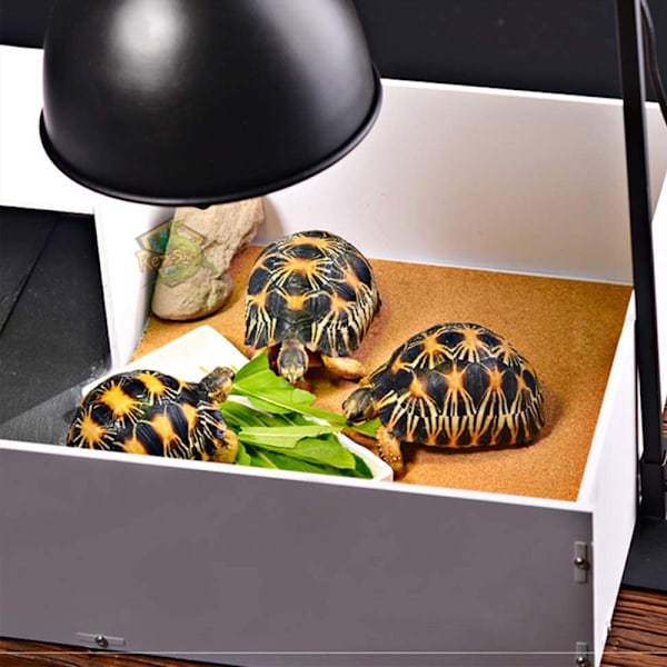Reptil Lysarmatur 5,5 / 7,2 Tommer Dyb Kuppel Lampe Hætte Lampe Armatur Optisk Refleks Dæksel til Reptil Glas Terrarier