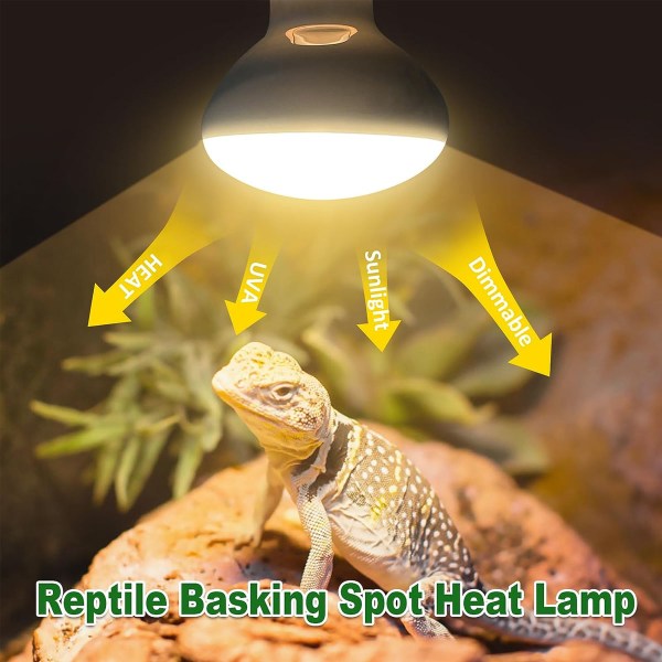 Reptile Heat Lamp 2 Pack, UVA Daylight Basking Spot Light,