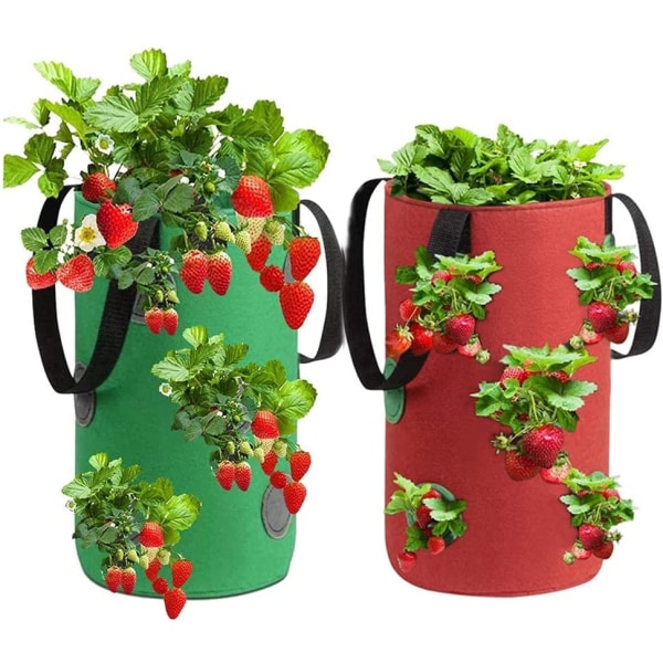 Jordbærplantepose, jordbærplantepose, pustende jordbærpose, hengende jordbærplantepose, jordbærplantepose, plantepose, jordbær
