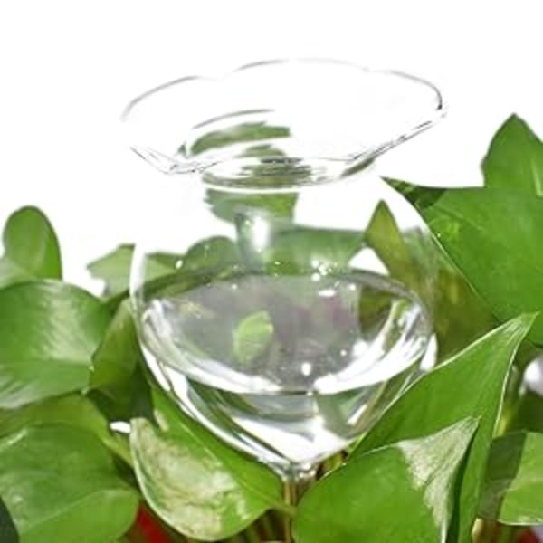2st Plant Waterer Självbevattningsglober Självvattnande spikar, handblåst klart glas Växtvattenlökar enheter för inomhus och utomhus, fyll från