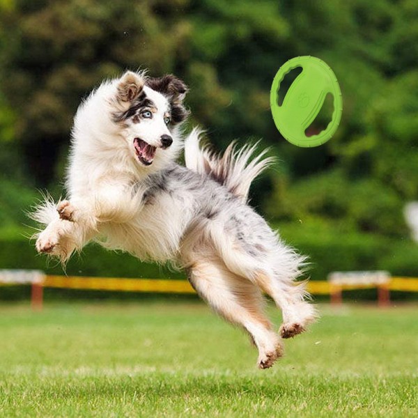 Hund flygande skivleksak, gummiträning för hundbett utomhus