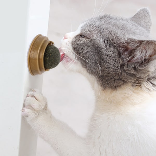 4st Catnip leksak roterbar kattmynta slickboll säker och hälsosam 69cc |  Fyndiq