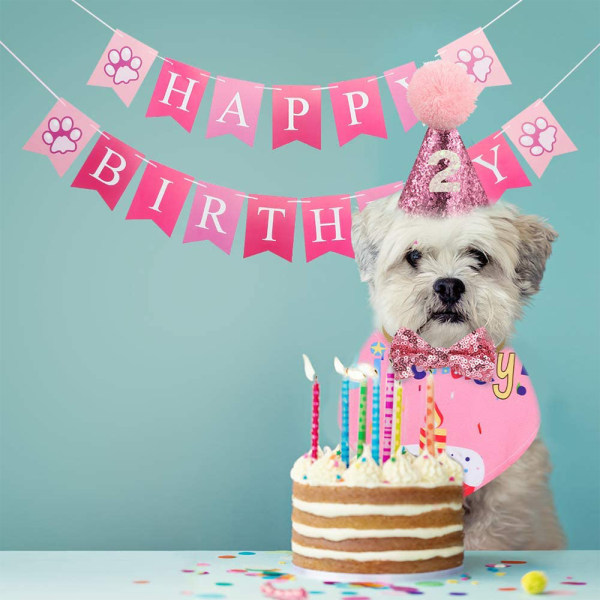 Tillbehör för födelsedagsfest för hundar, Pet Birthday Hat och Boy Doggy