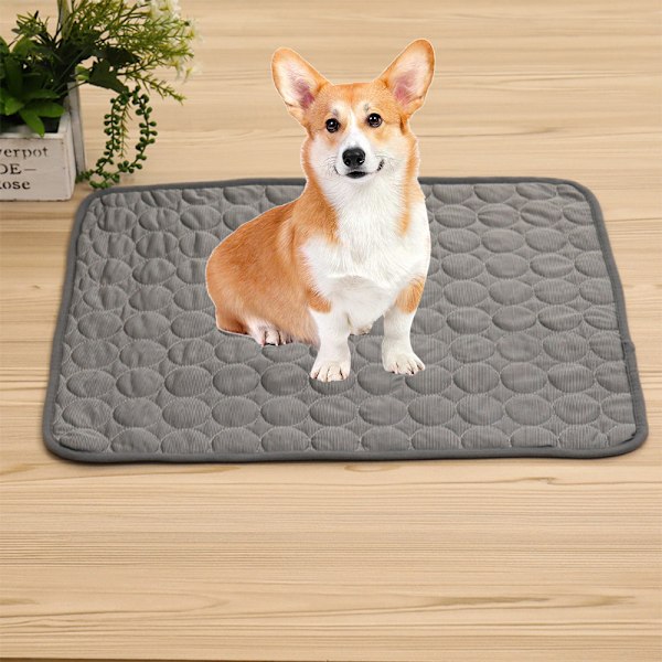 Hundeis-silke matte Sommer kjæledyr matte Teddy bur bite-resistent