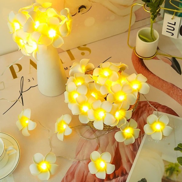 LED konstgjorda Plumeria Flower String Lights- Hawaiian Foam Fran 9.8ft 20led