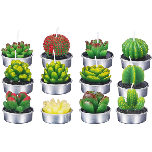 12 kaktuslys, sukkulentlys av kunstige planter,