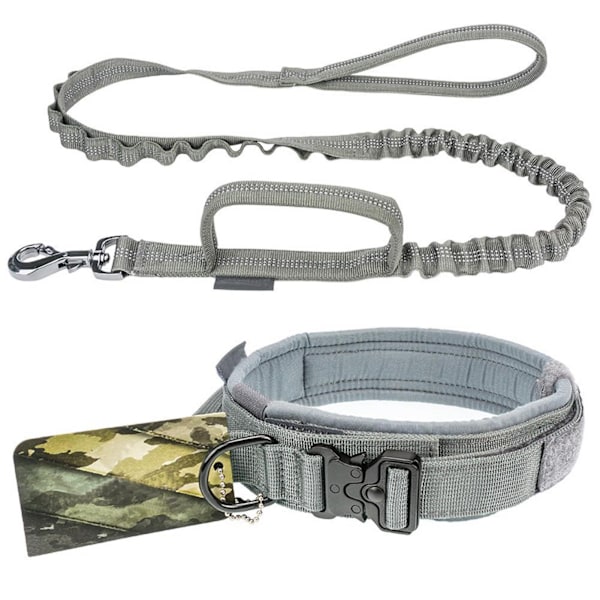 Adjustable Pet Dog Collar And Leash Set Pets Outdoor Training Supplies