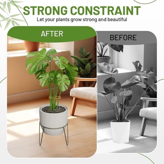 Monstera bladstöd - rund växtstödsring - metall - 4 stycken