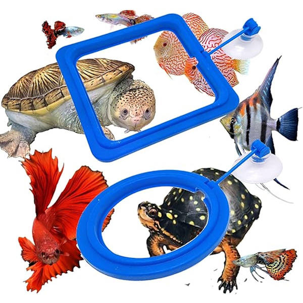 ING 4x Flydende Foderringe - Akvariefoderringe - Flydende Fiskefoderringe - Fiskefoderringe med Sugekopper - Blå