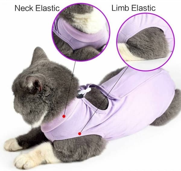 Kattedress - heldress - størrelse S - lilla - passer 1-2 kg