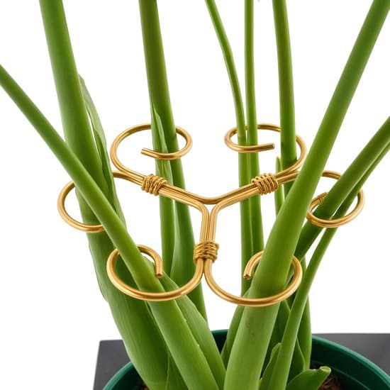 Monstera bladstøtte - rund plantestøttering - metall - 4 stk