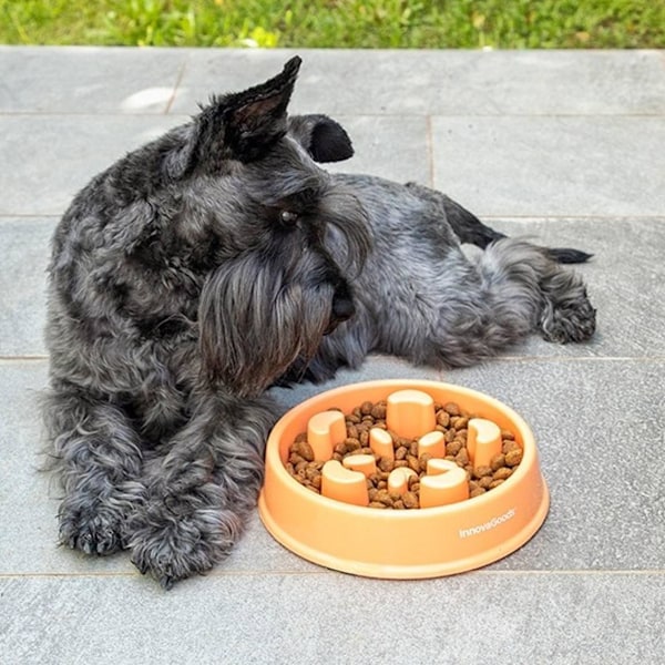Matskål till Hund - Slow Feeder y orange