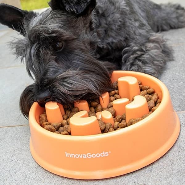 Matskål til Hund - Slow Feeder y orange