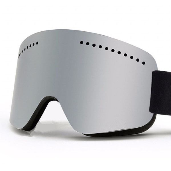 Goggles / Skidglasögon / Snowboardglasögon