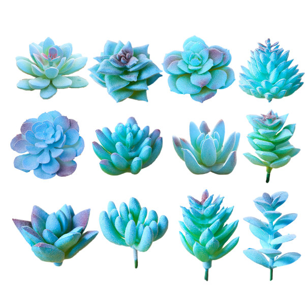12st blå serie simuleringssuckulenter blomhuvuden kreativa