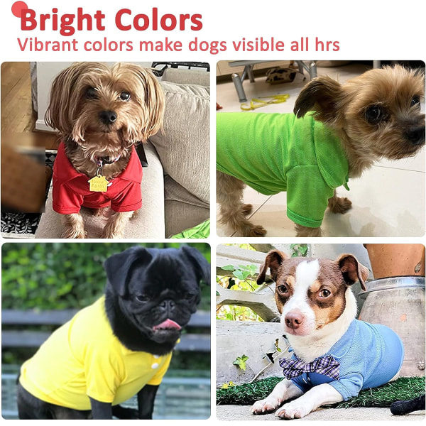Basic Dog pikétröjor Premium bomull, pikétröjor för stora