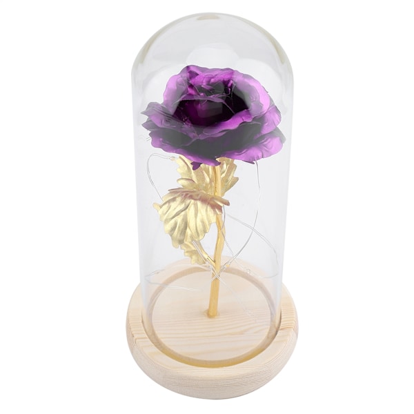 Preservert Roseblomst LED-lys med glassdeksel & trebase Valentinsdag Bryllup Lilla