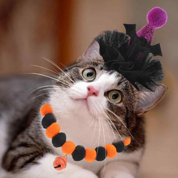 Halloween halsband plysch boll hatt set Pet hatt Pet cat party pet