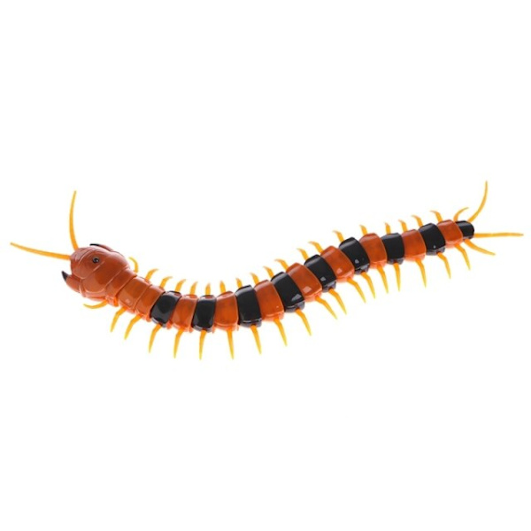 Fjärrkontroll Animal Centipede Creepy Prank Roliga Leksaker Present