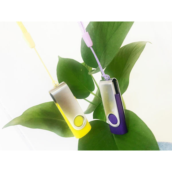 10 USB 2.0 Flash Drive 8gb Swivel Mixed Color USB Sticks