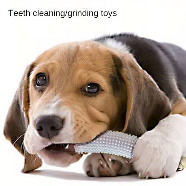Pet Toy Gurk, Molar och Bittålig Interactive Blue
