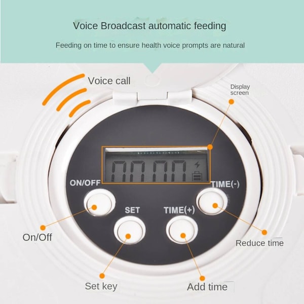 Pet Intelligent Timing Feeder, Sex-hål Timing Kvantitativ Grey