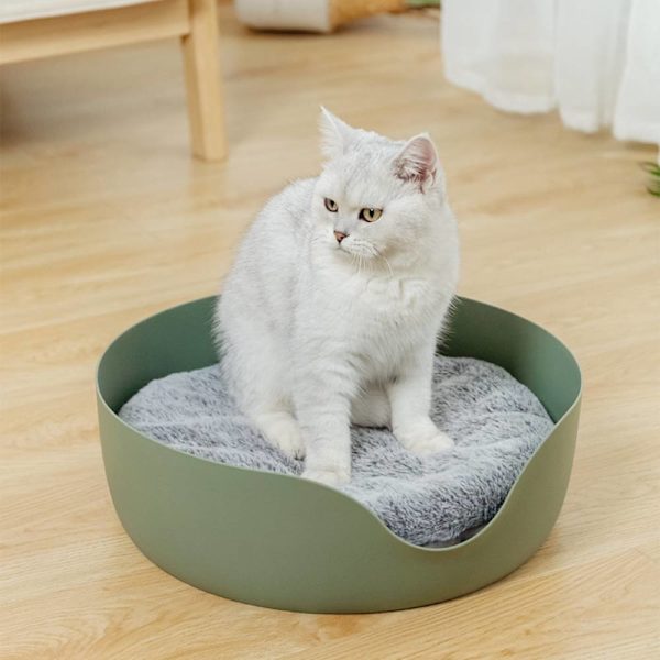 Kattskrapbräda och kattsand är integrerade, och den