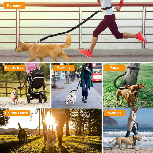 Justerbart handfritt hundkoppel för hundpromenad och löpning