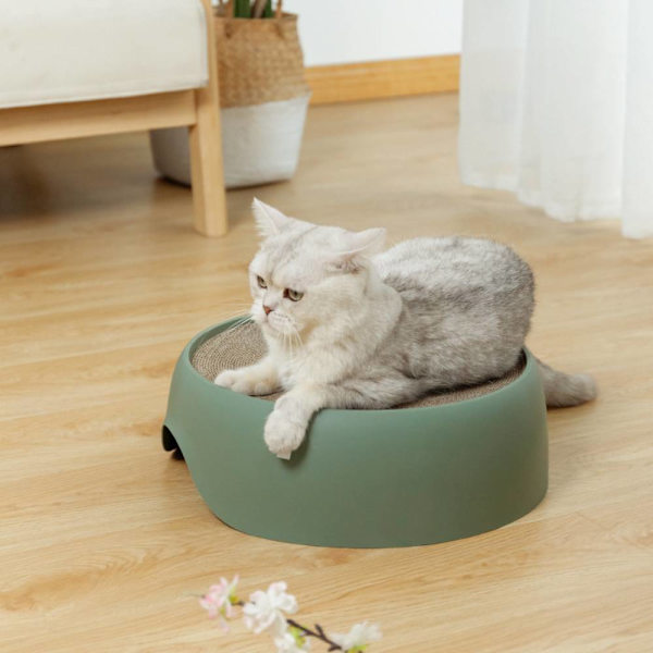 Kattskrapbräda och kattsand är integrerade, och den