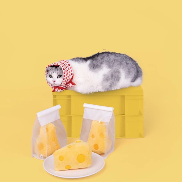 Ost Molar Cat Toy, plysch kattmynta ringande papper att tugga på