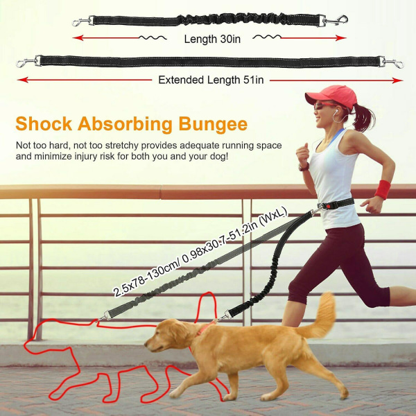 Justerbart handfritt hundkoppel för hundpromenad och löpning