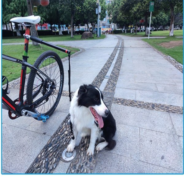 Cykel Dog Walker, Elastic Buffer Cykelkoppel