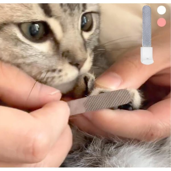 Nagelklippare för katter, valpar, gnagare, professionella