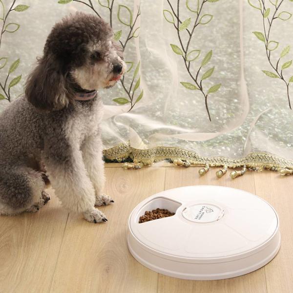 Pet Intelligent Timing Feeder, Sex-hål Timing Kvantitativ Grey