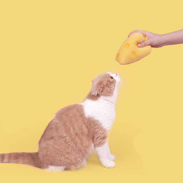 Ost Molar Cat Toy, plysch kattmynta ringande papper att tugga på