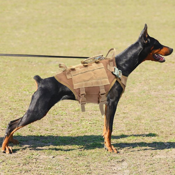 Hund utomhus träningsdräkt, medium och stor hund burst punch Copper