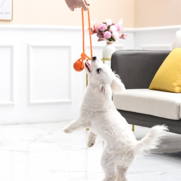 Pet Toy Ball Rope, Interactive Reflexive Rope Training Bite Green