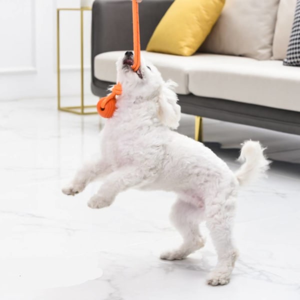 Pet Toy Ball Rope, Interactive Reflexive Rope Training Bite Green