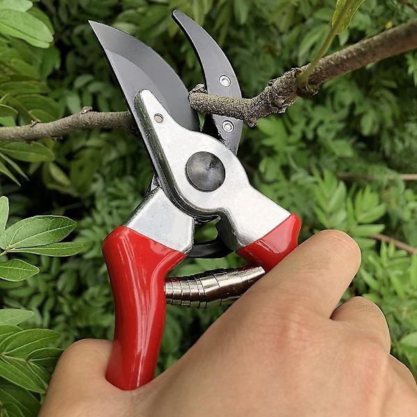 Professionell sekatör Sharp Bypass beskärningssax, träd