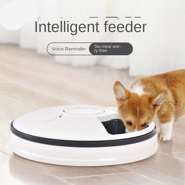 Pet Intelligent Timing Feeder, Sex-hål Timing Kvantitativ Grey