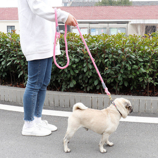 Två-i-ett hundkoppel, en bogser två små hundar med dubbla ändar Pink
