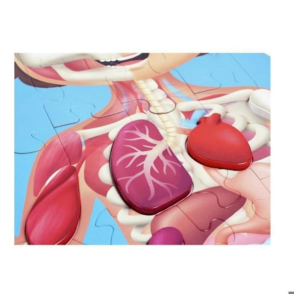 Ihmiskehon palapeli - HAPE - Opetus anatomia - 50 kpl - Kaksipuolinen juliste Flerfärgad